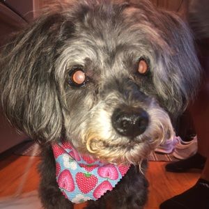 Meet your Posher, Gabriella